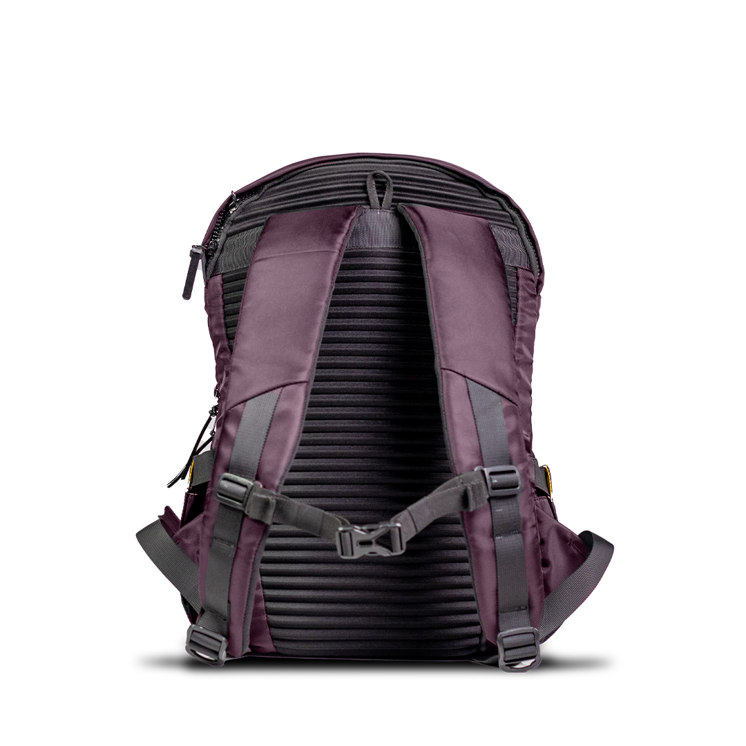 Discovery X Carbonado Grayman Backpack